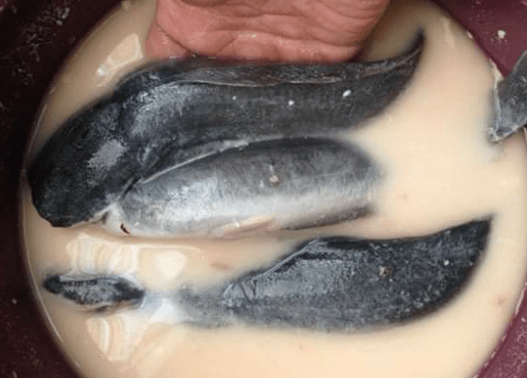 Petua Goreng Ikan Keli Agar Garing Dan Tak Meletup1