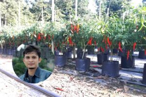 Usahawan Tanaman Fertigasi Ini Kongsi Tip Power2