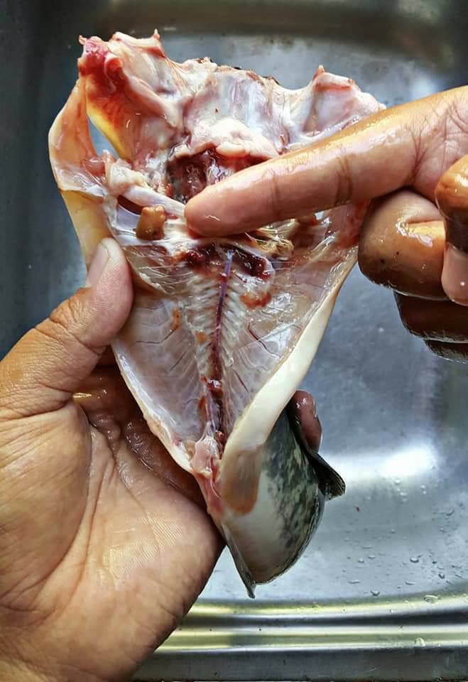 Cara Sebenar Siang Ikan Keli, Kena Buang Darah Beku Barulah Tak Hanyir & Berbau Ketika Makan6
