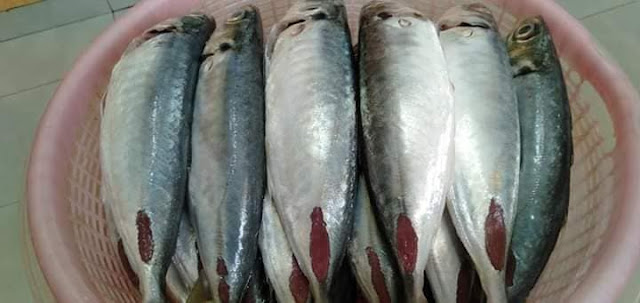 Buat Sendiri Serunding Ikan Campur Kelapa. Jadikan Inti Untuk Karipap Mini Atau Popia Simpul. Confirm Sedap!